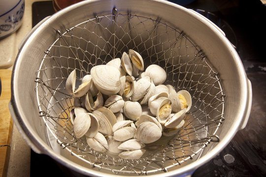 Fresh clams steam cooking on a stove top.
