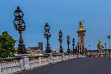 Fototapeta na wymiar Pont Alexandre 3 - Paris, France
