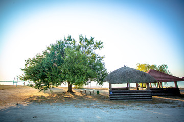 green trees and summer houses on river beach in sunrise , 