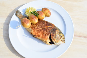 Gebratene Dorade