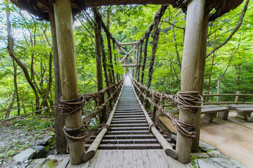 徳島県　奥祖谷二重かずら橋　男橋