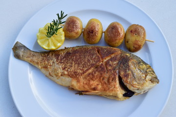 Gebratene Dorade