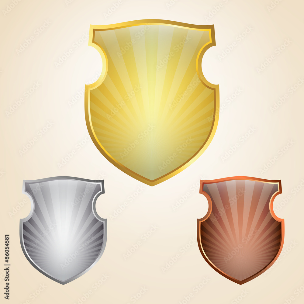 Canvas Prints shield set