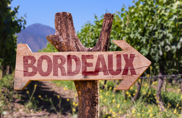 Bordeaux wooden sign with winery background