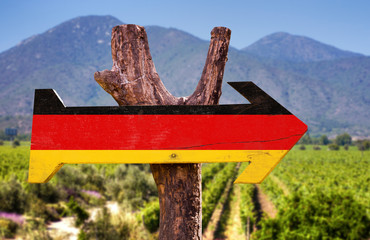 Germany Flag wooden sign with winery background