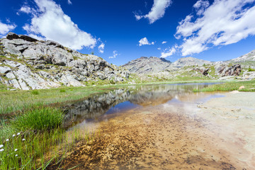 stagno di montagna con girini