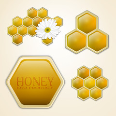 Vector honey combs design elements