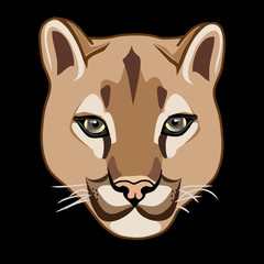 WILD CAT, COUGAR illustration  vector