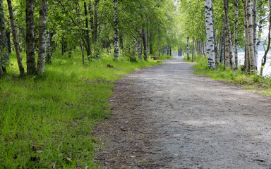 Gravel Road in Umeå, Sweden