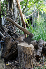 Old axe, log and old firewood