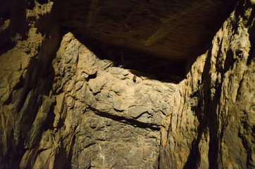 Bat hanging from the ceiling © lapis2380