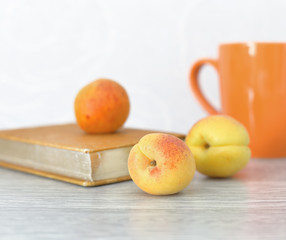 Summer composition with apricots