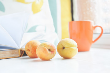 Summer set reader on a windowsill
