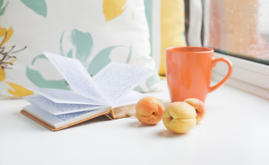 Reader summer set on a windowsill at rainy day