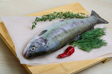 Raw trout