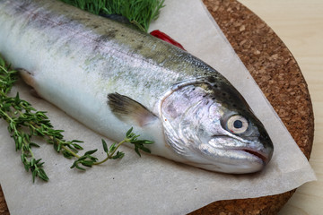 Raw trout