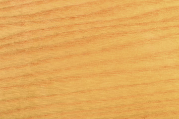 Naklejka premium Wooden texture.