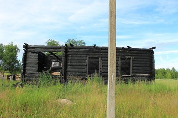 Разрушенный дом в заброшенной деревне на поле летом