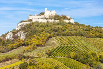 Fototapeta na wymiar ruins of Falkenstein Castle with vineyard in autumn, Lower Austr