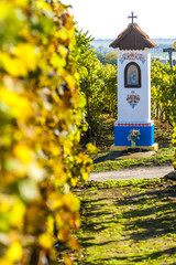 God's torture with vineyard near Nechory, Czech Republic