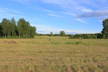 Obraz premium Летнее поле в солнечный день