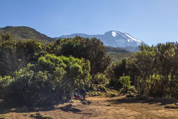 Photo sur Plexiglas Kilimandjaro machame route kilimanjaro