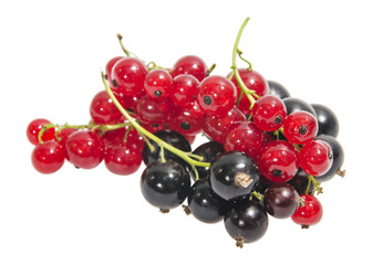 Black and red currants