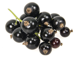 Black currant