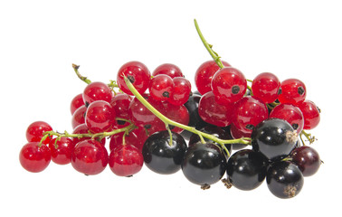 Black and red currants