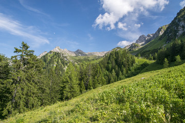 Obraz premium Bergwelt