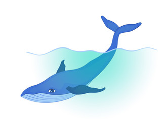 blue whale