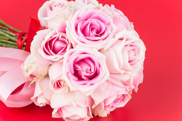 pink and white rose on red background