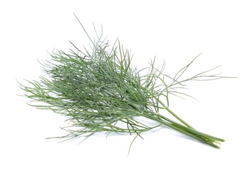 fresh dill on white background