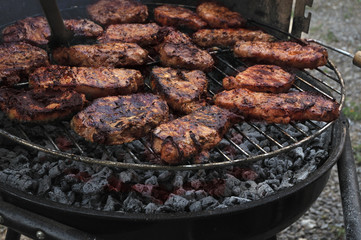 pork meat to be roasted on the coals