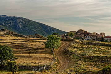 Korsika, Landschaft in den Bergen