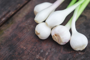 Young spring garlic and onion