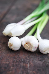 Young spring garlic and onion