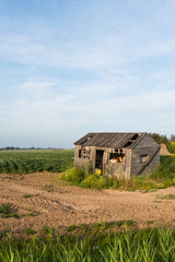 Fototapeta na wymiar Old dilapidated small wooden barn beside a potato field