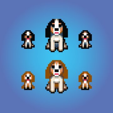 cavalier king charles spaniel dogs pixel art illustration