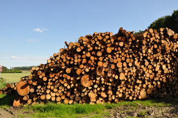 Tas de bois en bord de route