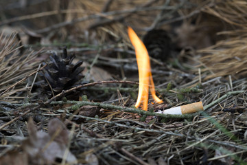 entstehender Waldbrand ausgelöst durch Zigarette