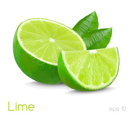 lime slice illustration isolated on white background