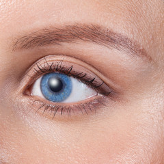 Obraz premium Close up of a blue woman eye