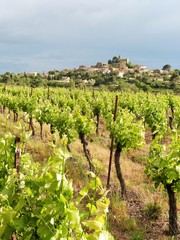 Fototapeta na wymiar village viticole français