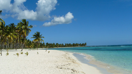 Beautiful white sand beach on the island of Saona