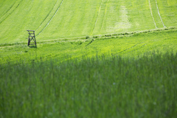 hunter's raised blind in German landscape