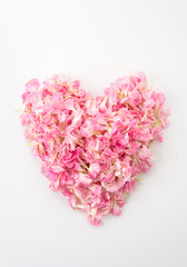 pink heart shape by carnations petal