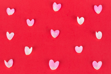 pink and white rose petal on red background