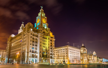 Fototapeta na wymiar The Royal Liver, the Cunard and the Port of Liverpool Buildings