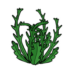 cartoon seaweed